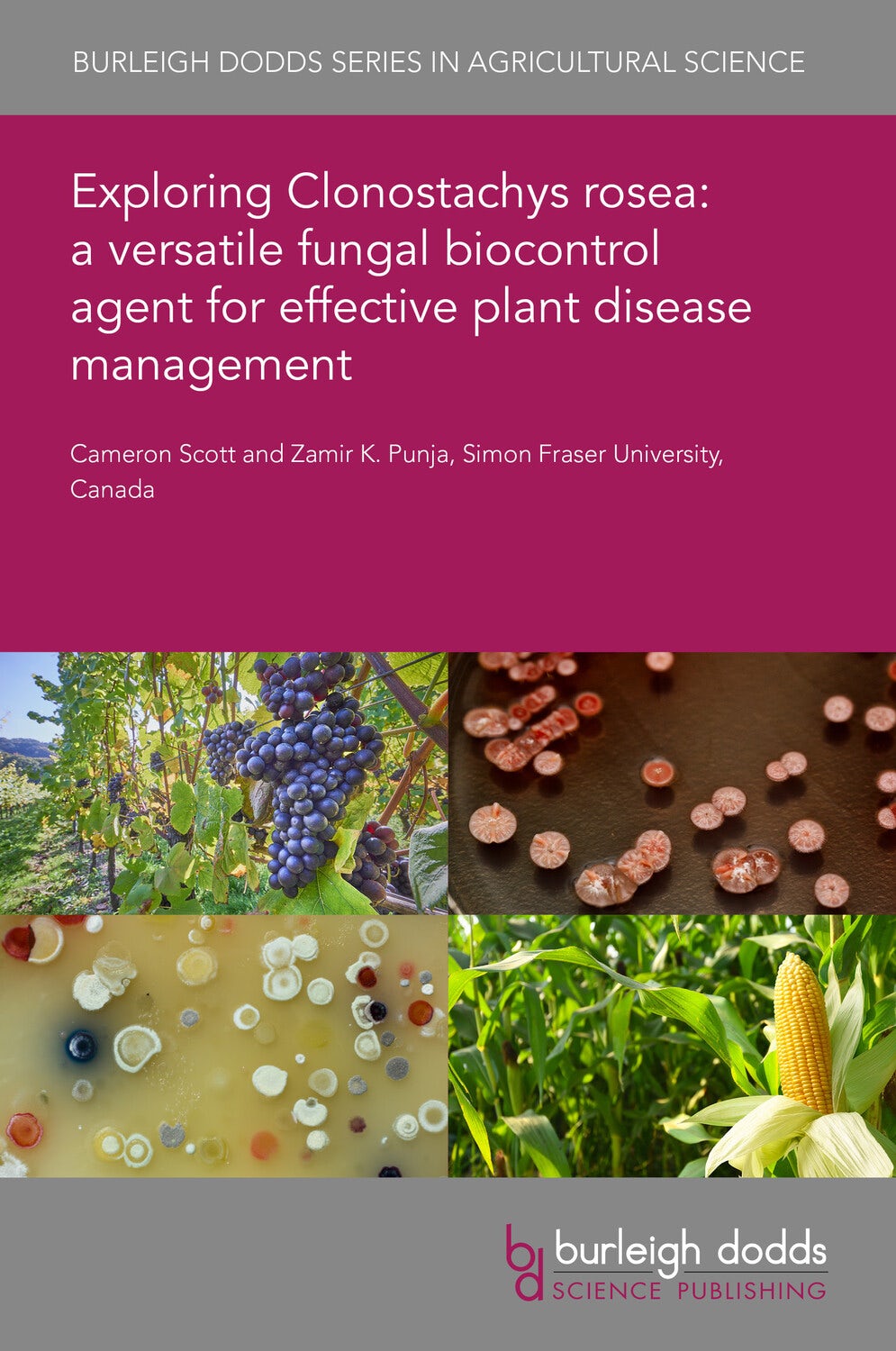 Book cover image for Exploring Clonostachys rosea: a versatile fungal biocontrol agent for effective plant disease management ISBN: 9781835454572